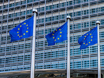 EU flags